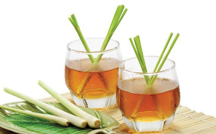 औषधीय फसल नीबूघास (Lemongrass) की उन्नत खेती