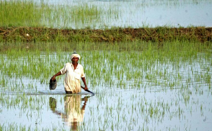 किसान कंगाल, खेती बदहाल, किस ने किया यह हाल?