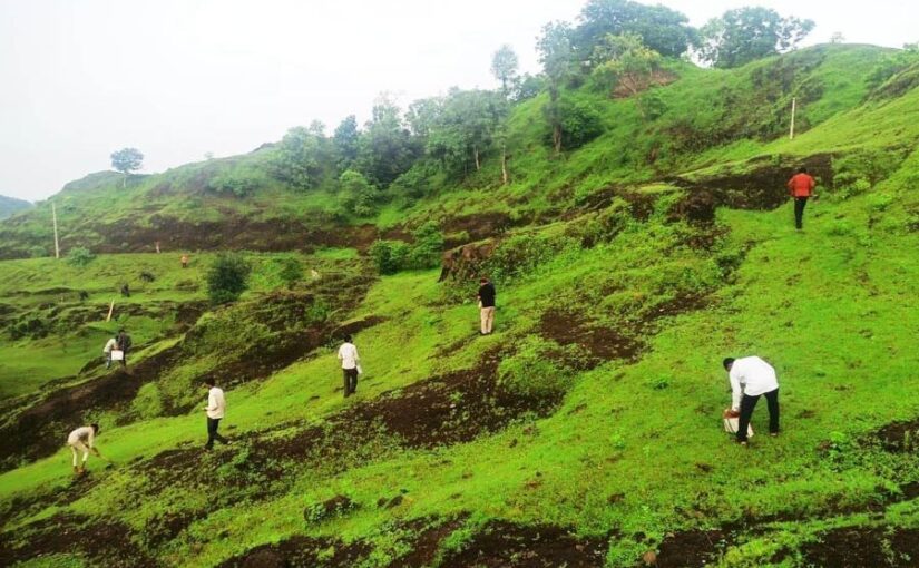 असीरगढ़ की पहाड़ियों पर रोपे पलाश के 5,000 बीज