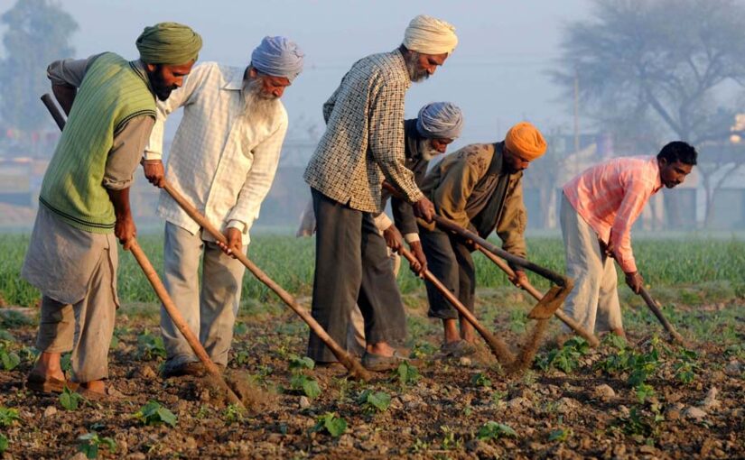 एफपीओ के जरीए किसानों की आमदनी बढ़ाने पर जोर