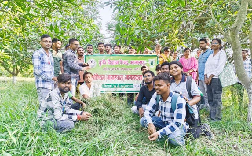 केवीके में गाजरघास (Carrot Grass) उन्मूलन सप्ताह का आयोजन
