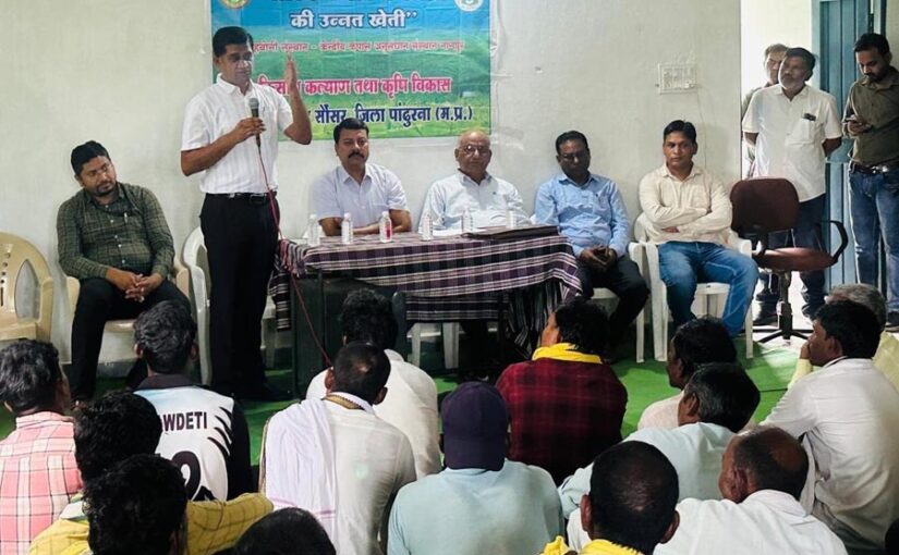 एचडीपीएस पध्दति से कपास की खेती
