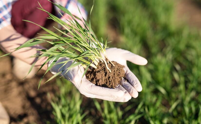 जैव उत्पादों (Biological Products) से फसलों में रोग नियंत्रण