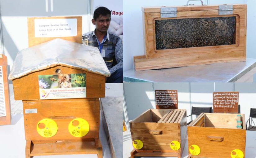 सस्ती दरों पर मिलेंगे मधुमक्खीपालन उपकरण (Bee equipment)