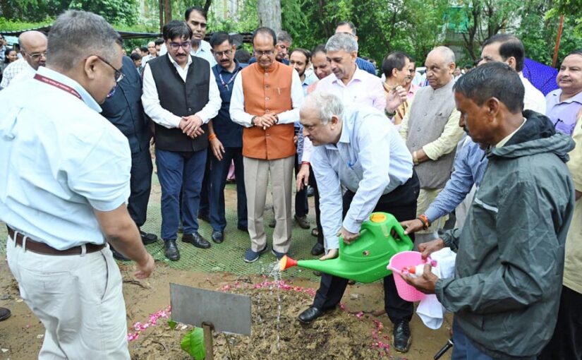 पौध रोपण के तहत एक एकड़ जमीन पर ‘मातृ वन’
