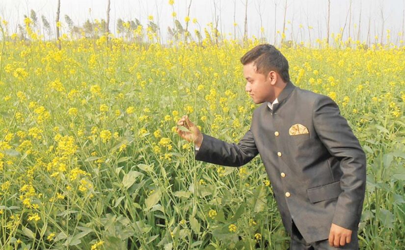 सरसों (Mustard) की खेती से भरपूर लाभ