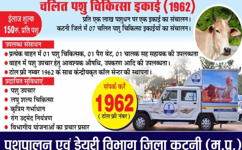 टोल फ्री नंबर 1962 पर घर बैठे पशुओं का इलाज