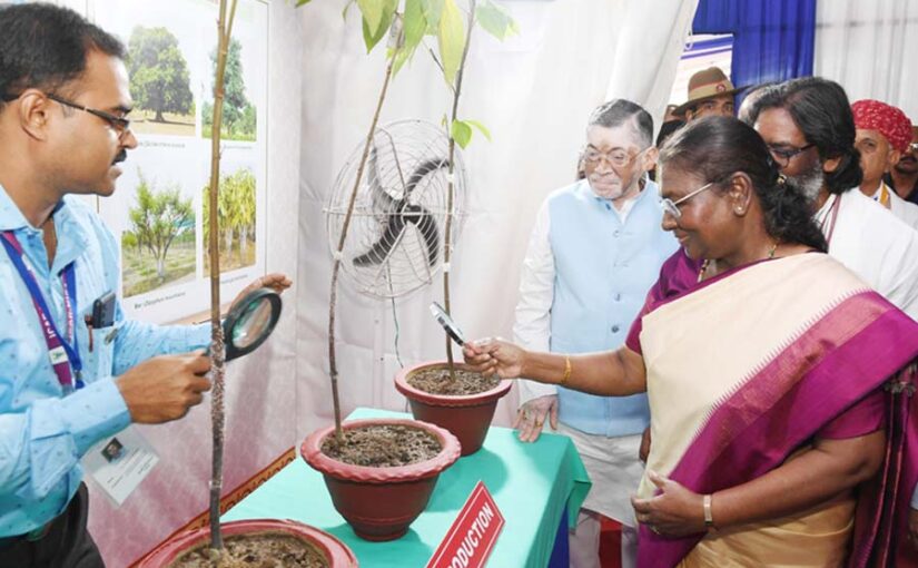 लाख का बढ़ेगा उत्पादन