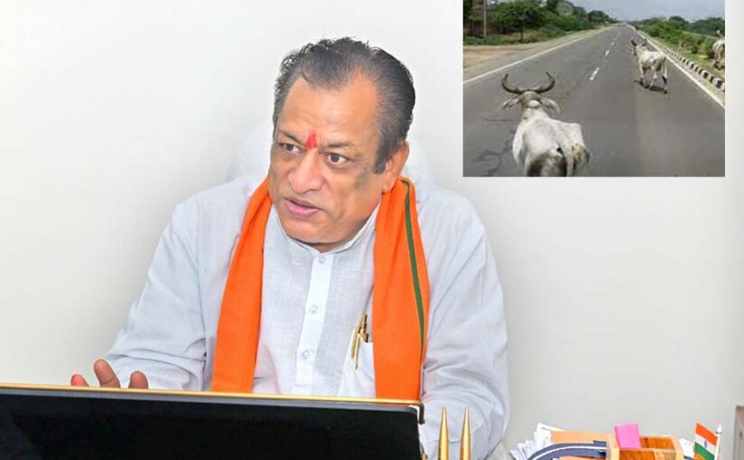 हाइवे पर नहीं दिखेंगे आवारा पशु (Stray Animals)