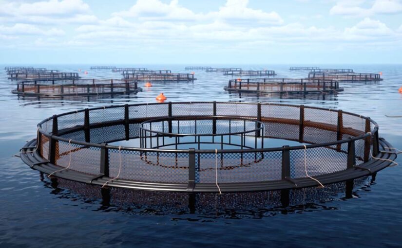 केज कल्चर तकनीक से मत्स्यपालन (Fish Farming)