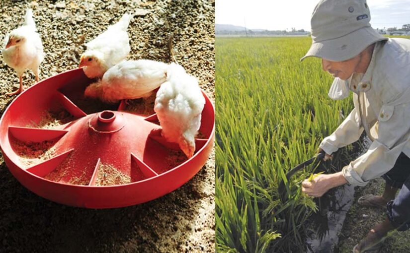 सितंबर (September) महीने के खास काम