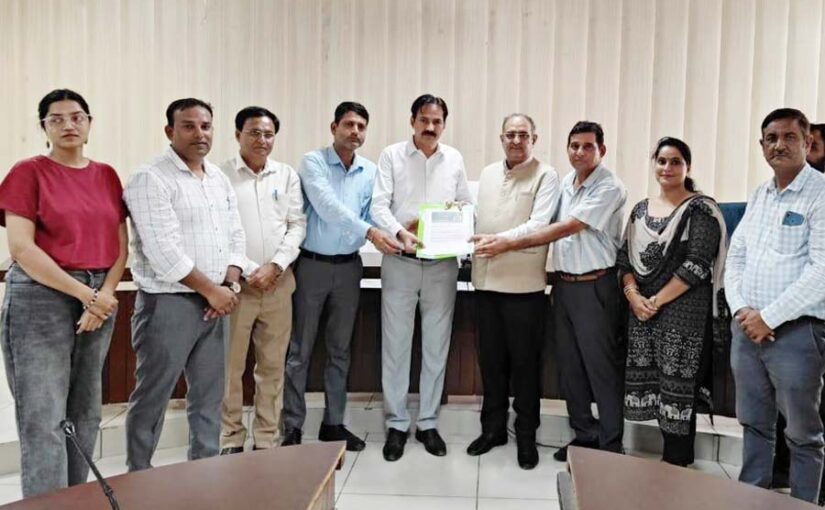 मक्का की नई हाइब्रिड किस्म एचक्यूपीएम 28