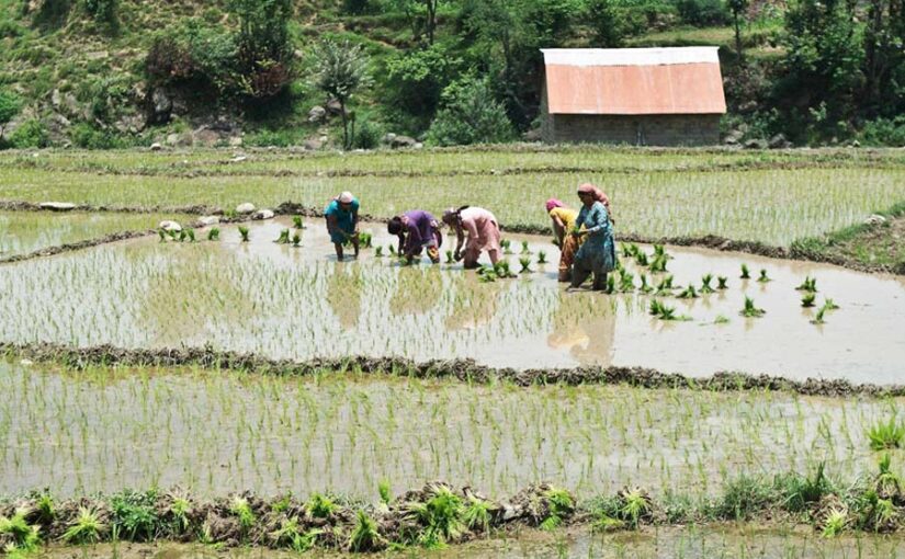 प्राकृतिक खेती (Natural Farming) में हिमाचल प्रदेश अव्वल