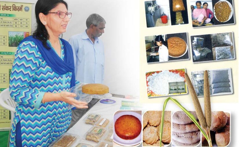 बाजरे की प्रोसेसिंग (Processing of Millets) – रोजगार का जरीया