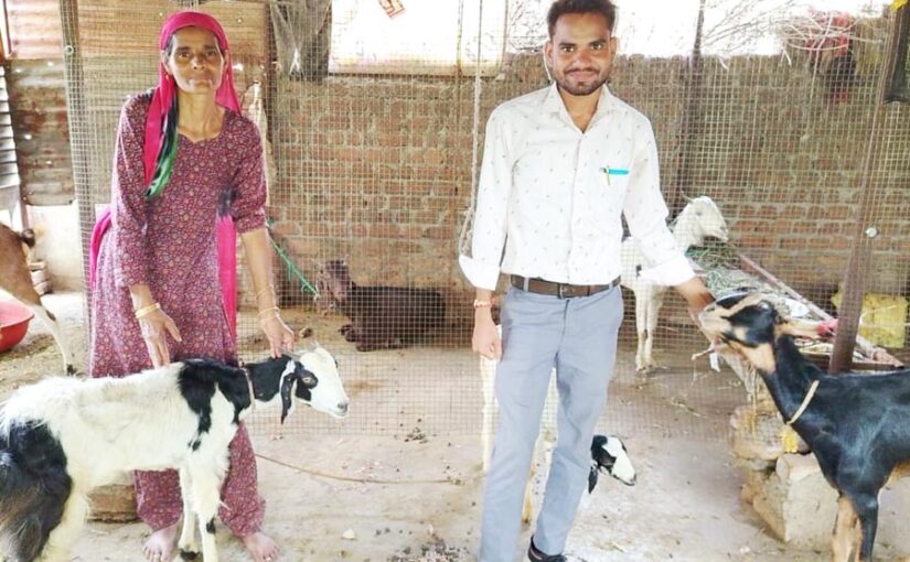 योजना का लाभ ले कर अजहरूद्दीन ने बकरीपालन को बनाया रोजगार