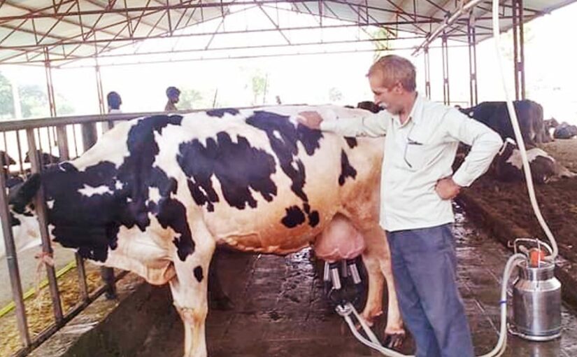 बढ़ेगी दुग्ध उत्पादन (Milk Production) क्षमता