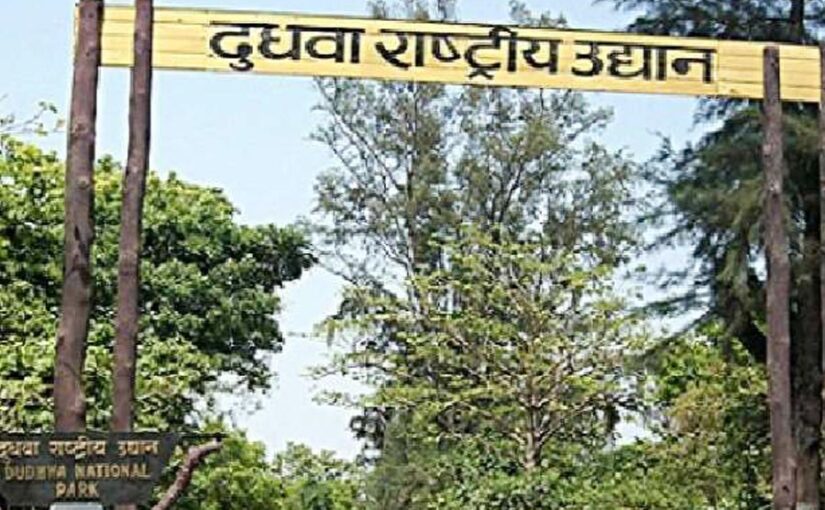 दुधवा नैशनल पार्क में मिलेगा कहानियों का आनंद
