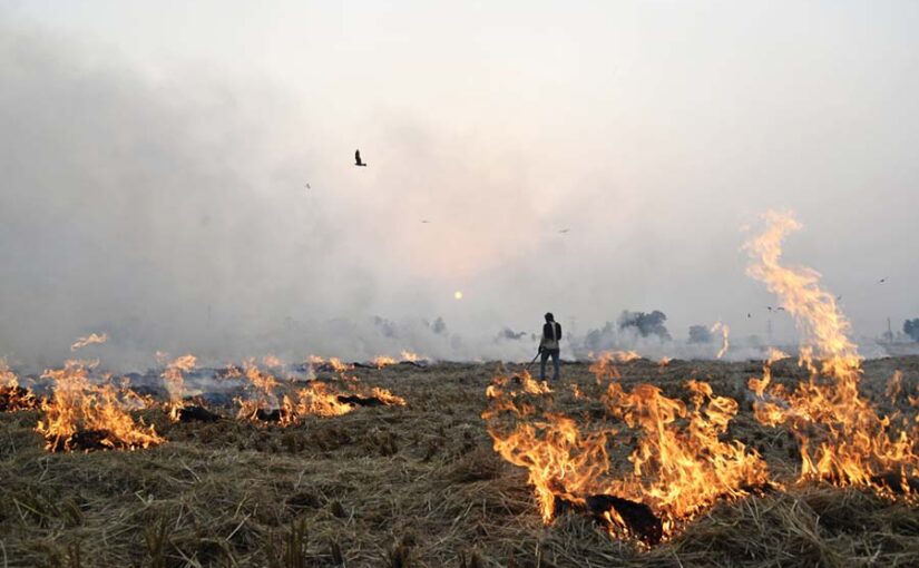फसल अवशेष : जलाए नहीं खाद बना कर बढ़ाएं जमीन की उर्वराशक्ति