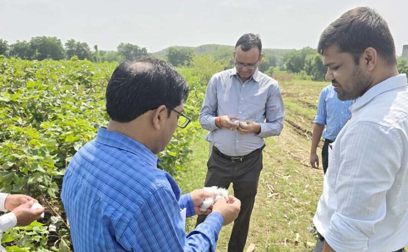 कलेक्टर की उपस्थिति में “फसल कटाई प्रयोग” विधि से हुई कटाई
