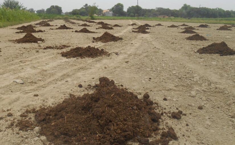 जीरो फॉर्मिंग के जरिए किसान होगा आत्मनिर्भर