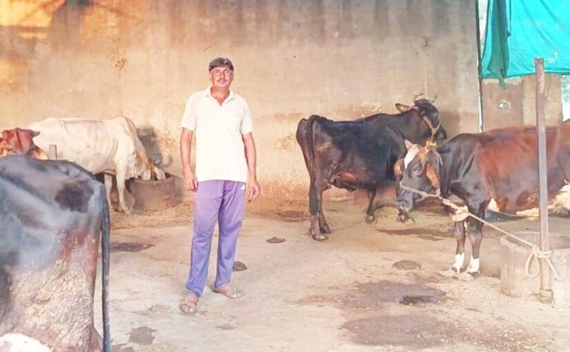 खेती के साथ गौपालन: आत्‍मनिर्भर बने किसान निर्मल