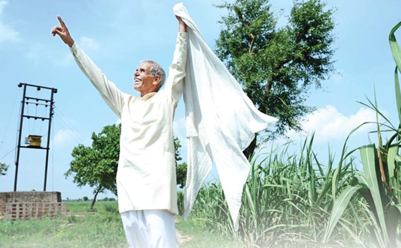 समय प्रबंधन से बदल सकती है गन्ना किसानों की हालत