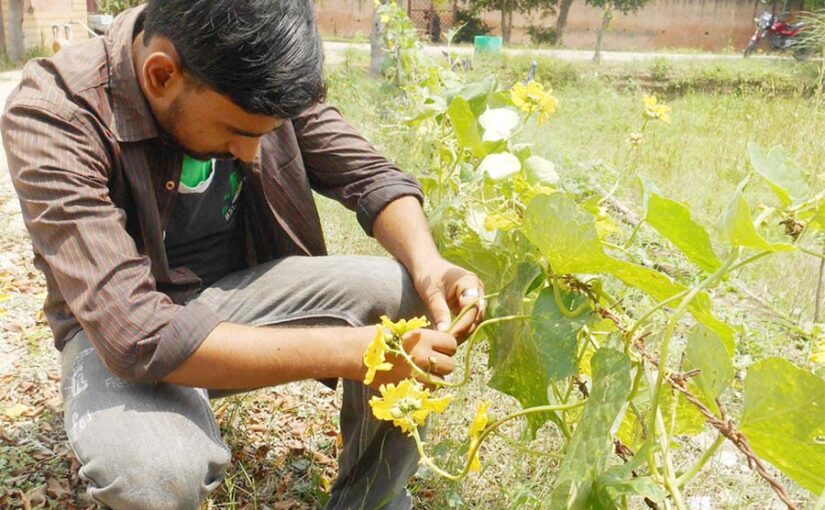 विद्यार्थी पढ़ाई के साथ ही उद्योग लगाने की सोचें