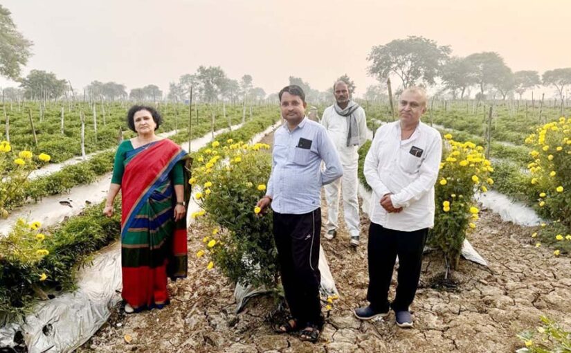 परंपरागत खेती के साथ उद्यानिकी फसल लेने से बढ़ी आमदनी
