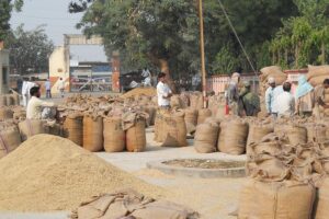 Paddy procurement