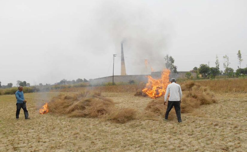 किसान नरवाई जलाने से बचें, करें फसल अवशेष प्रबंधन