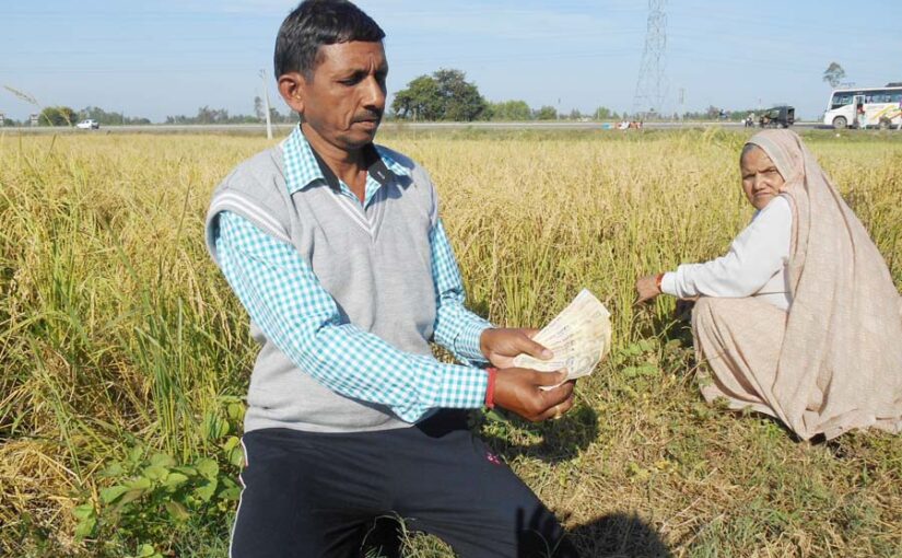 प्रधानमंत्री किसान सम्मान निधि योजना के लिए फार्मर रजिस्ट्री जरूरी