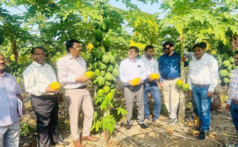 नवाचार देखने टीम के साथ पहुंचे कलक्टर