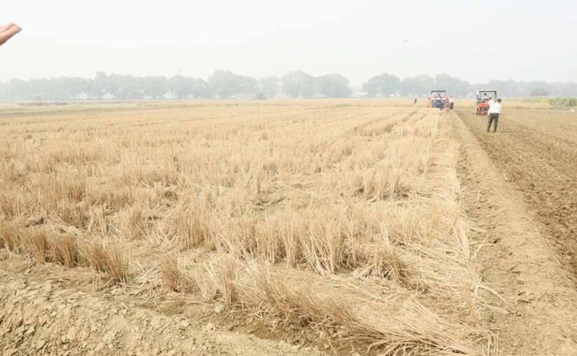 नर्मदापुरम में पराली जलाने (Stubble Burning) पर पूरी तरह प्रतिबंध