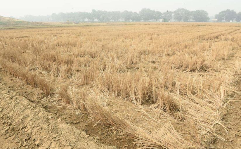 फसल अवशेष जलाया तो होगा जुर्माना