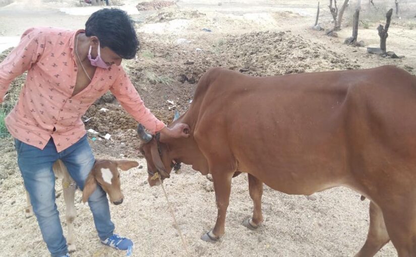 पशुओं के लिए महामारी निधि  (Pandemic Fund) परियोजना