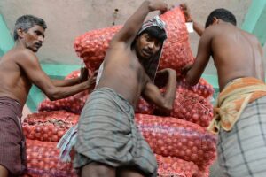 प्याज (Onion)