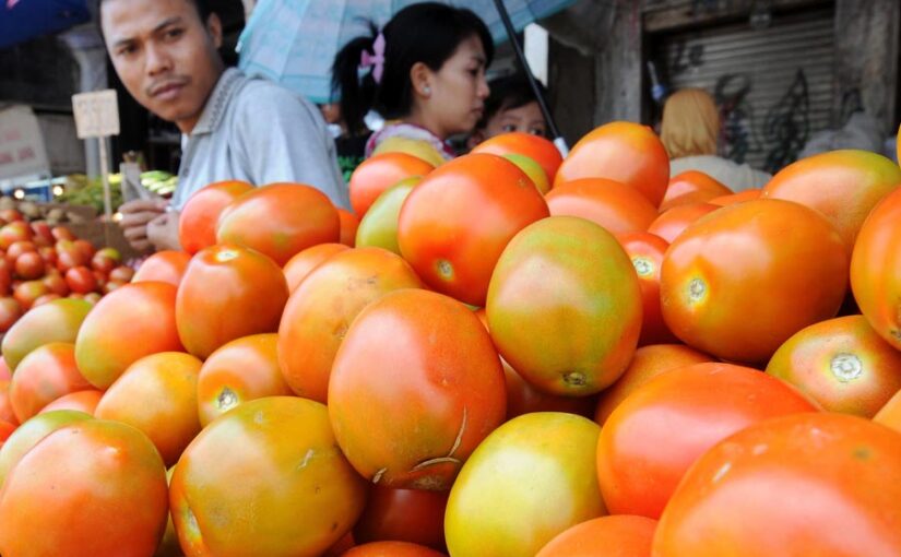 टमाटर (Tomato) के दामों में हुई गिरावट