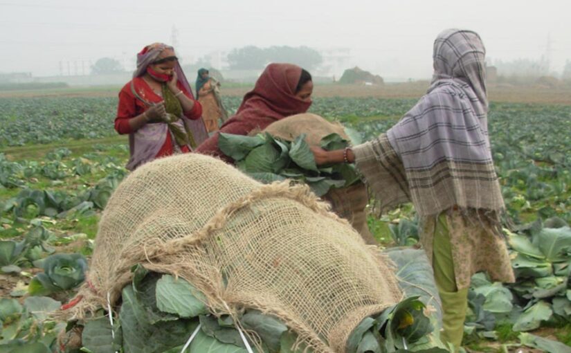 पाले से फसल को कैसे बचाएं