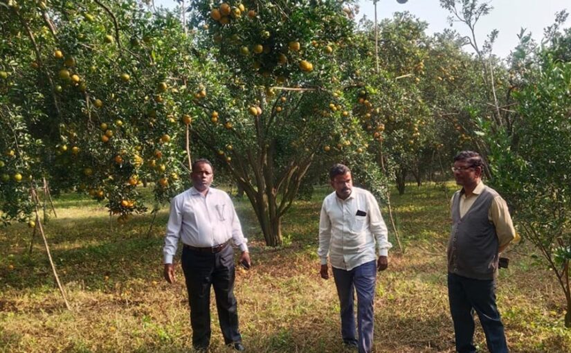 संतरा उत्पादक किसान योमदेव कालबांडे की सफलता की कहानी