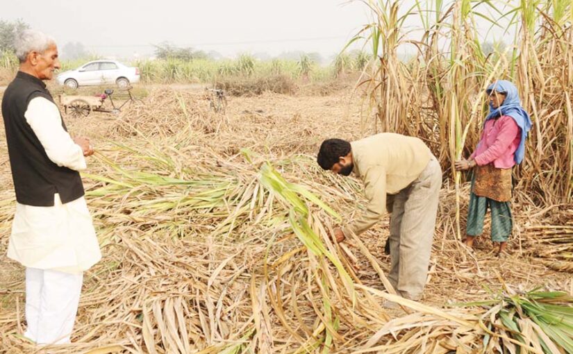 दिसंबर (December) महीने के जरूरी काम
