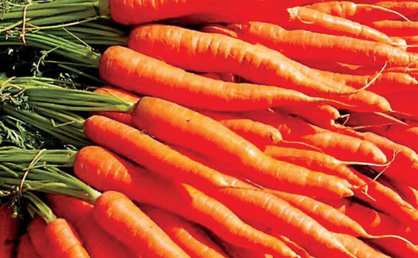 गाजर (Carrots) के फायदे