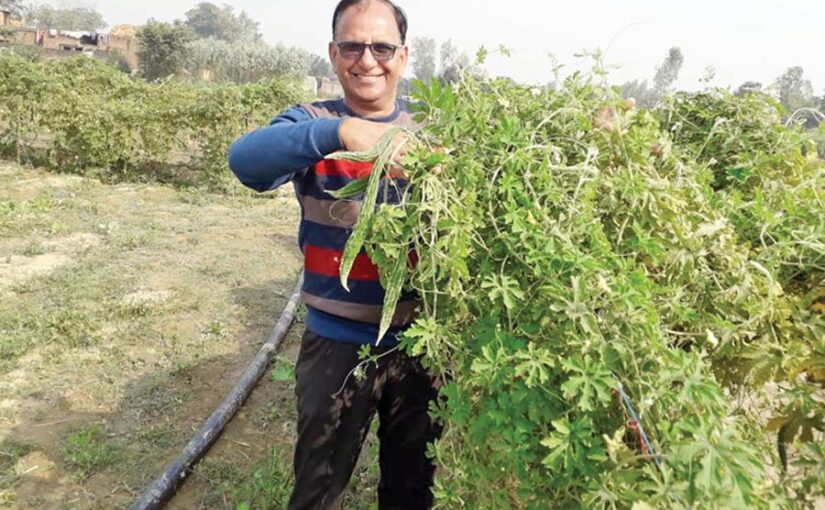 वकालत का पेशा छोड़ जैविक खेती से तरक्की करता किसान