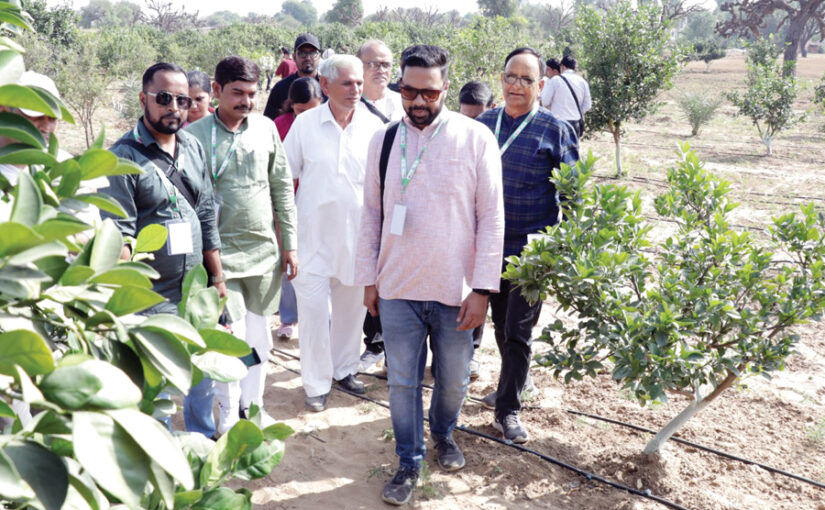 खेती के जरीए आजीविका को बढ़ावा देने का काम कर रही सामाजिक संस्थाएं