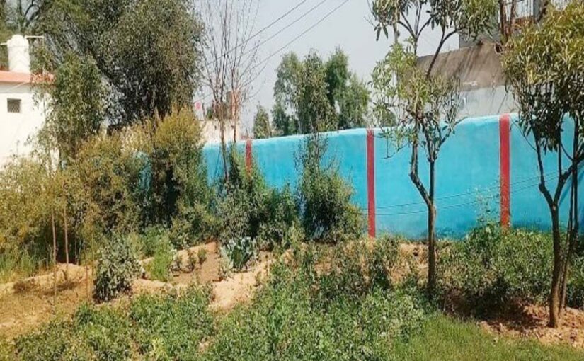 सफलता की कहानी : ‘मां की बगिया’ योजना से तरक्की कर रही महिलाएं