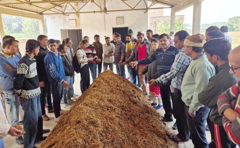 हकृवि में मशरूम (Mushroom) उत्पादन तकनीक पर प्रशिक्षण कार्यक्रम