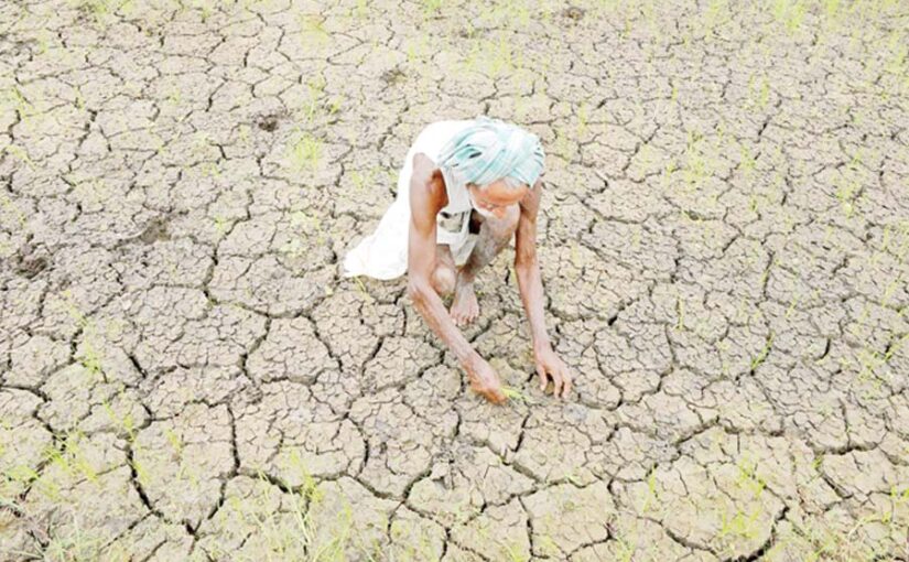 मौजूदा दौर में खेतीकिसानी की हालत