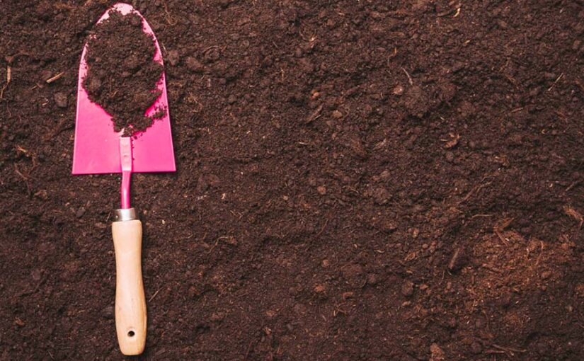 मृदा स्वास्थ्य (Soil Health) अच्छा तो खेती से पैदावार अच्छी