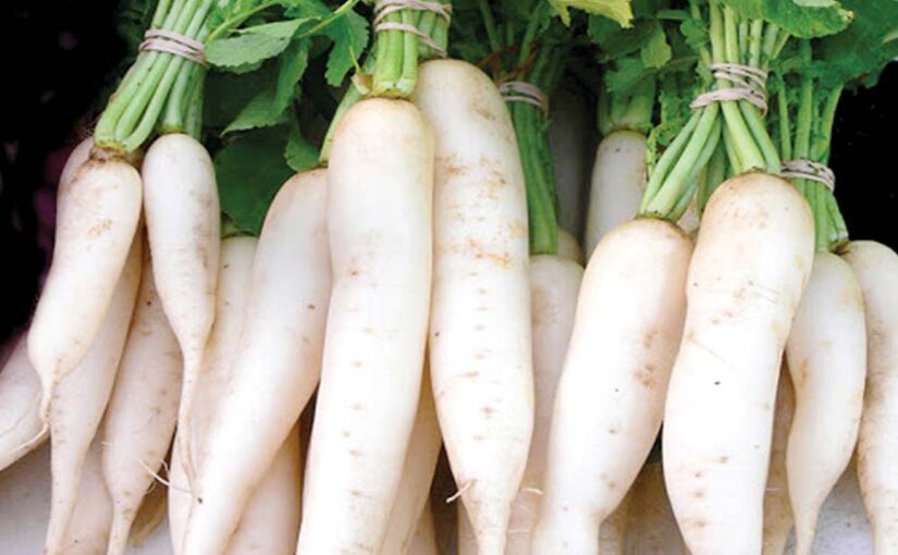 मूली (Radish): सेहत के लिए खास