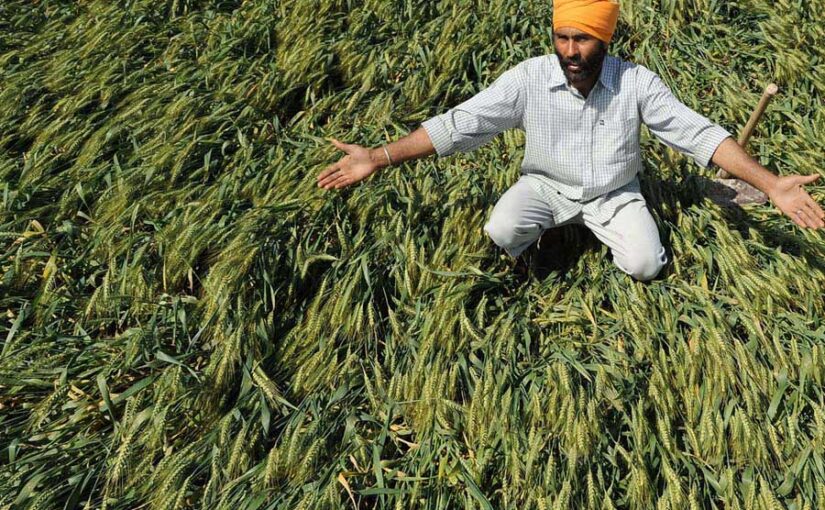 प्राकृतिक आपदा से किसान की उपज बरबाद , कैसे हो भरपाई?