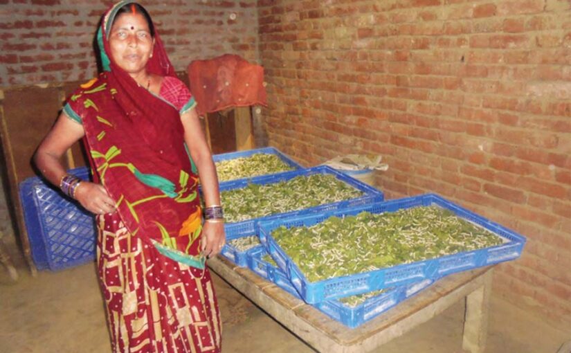 रेशम कीटपालन : ग्रामीण महिलाओं ने लिखी तरक्की की कहानी